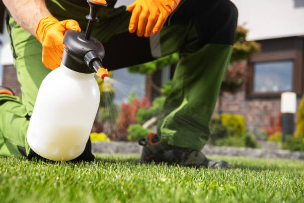 Best Local Pest Control Services  in Pico Rivera, CA