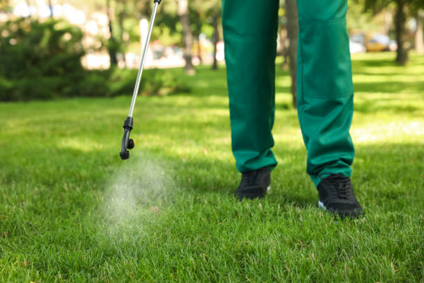 Best Mosquito Control Services  in Pico Rivera, CA