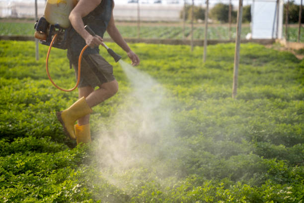  Pico Rivera, CA Pest Control Pros