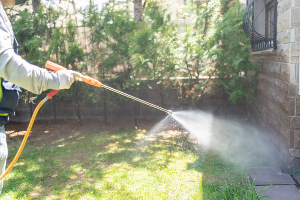 Best Pest Prevention Services  in Pico Rivera, CA