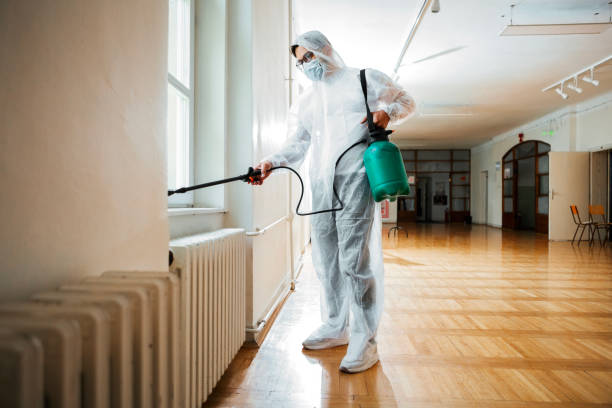 Reliable Pico Rivera, CA Pest Control Solutions
