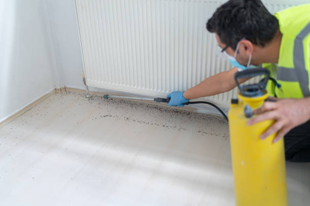 Best Cockroach Control Services  in Pico Rivera, CA